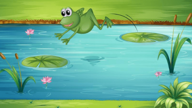 Animated:0jbtltnauhs= Frog