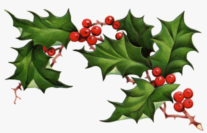 Clip Art:9swh5lhew9g= Holly