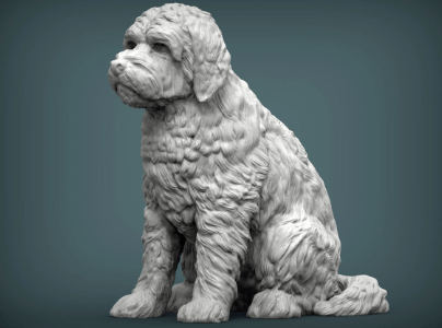 Cute:1rucagakx48= Golden Doodle