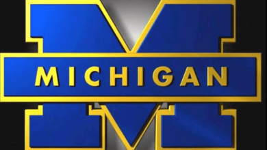 Logo:34nudidlysi= Michigan Wolverines Football