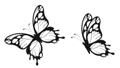 Outline:6f8gxsnezbk= Butterfly Stencil