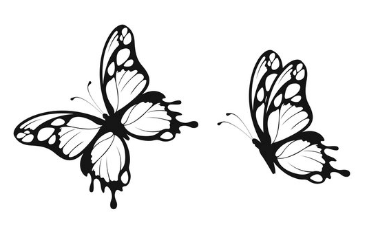 Outline:6f8gxsnezbk= Butterfly Stencil