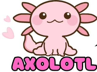 Cute:Dyf8c8wezxm= Drawing:4qot_F9ob3y= Axolotl