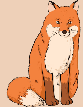 Cute:Vckxjxf4zh0= Drawing:9glto2dsie4= Fox