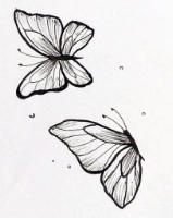 Drawing:1hmdqx-87ve= Butterfly Outline