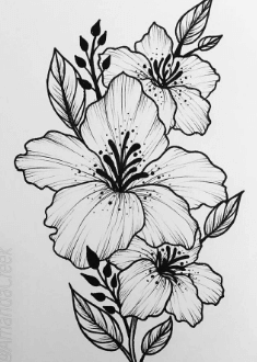 Drawing:1ht5ebfml2m= Floral Design