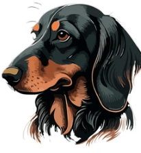 Drawing:1tgunirblks= Wiener Dog