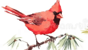 Drawing:1tzhpsweady= Chickadee