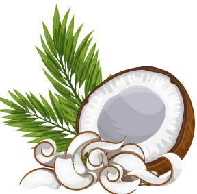 Clipart:5ovmbr2xaha= Coconuts