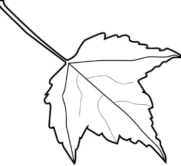 Clipart:5oesxuispmg= Outline:6qgtqhyhayk= Leaf