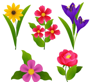 Clipart:5ftz0amu-Rq= Flowers