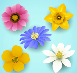 Clipart:5ftz0amu-Rq= Outline:Wo35ypo13qu= Flowers