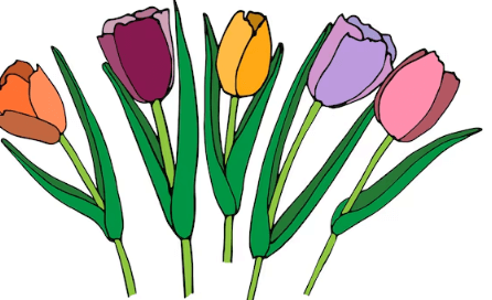 Clipart:5ftz0amu-Rq= Outline:Wo35ypo13qu= Flowers