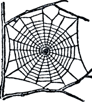 Clipart:3y41ykagago= Spider Web