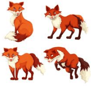 Clipart:3qierjd1rck= Red Fox