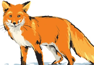 Clipart:3qierjd1rck= Red Fox