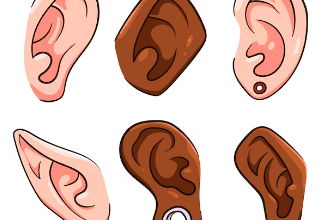 Clipart:7axrz1xogvq= Ears