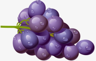 Clipart:6v7veumjy6m= Grape