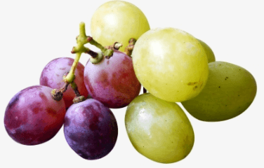 Clipart:6v7veumjy6m= Grape