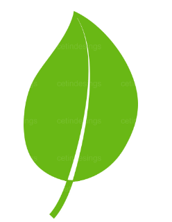 Clipart:6ea21zv4vgc= Leaf Png