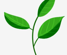 Clipart:6ea21zv4vgc= Leaf Png