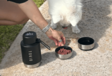Stainless Steel 3 in 1 Dog Water Bottle: The Must-Have Pet Accessory for Active Dog Owners