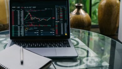 beginner s profitable stock guide