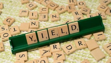 top dividend stocks list