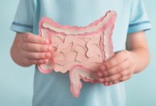 What You Eat Matters Foods That Secretly Disrupt Gut Bacteria Balance
