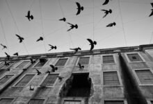 endless energy and motion