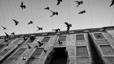 endless energy and motion