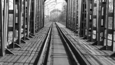 leadership in vertex track