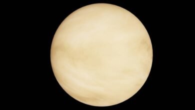 polaris orbit dynamic path