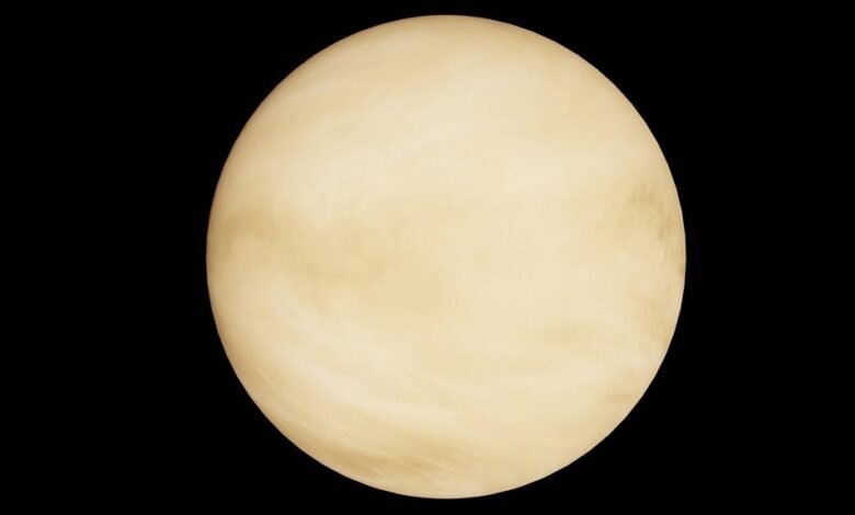 polaris orbit dynamic path